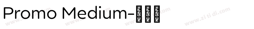 Promo Medium字体转换